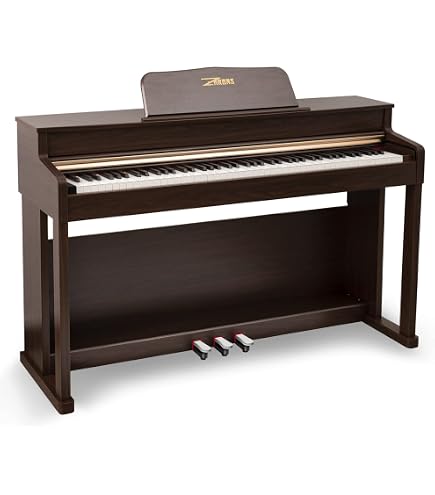 Amazon.com: Casio PX-870 Privia Digital Piano - Black Bundle with